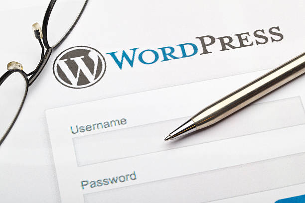 ما هو البرنامج المساعد WordPressما هو البرنامج المساعد WordPress